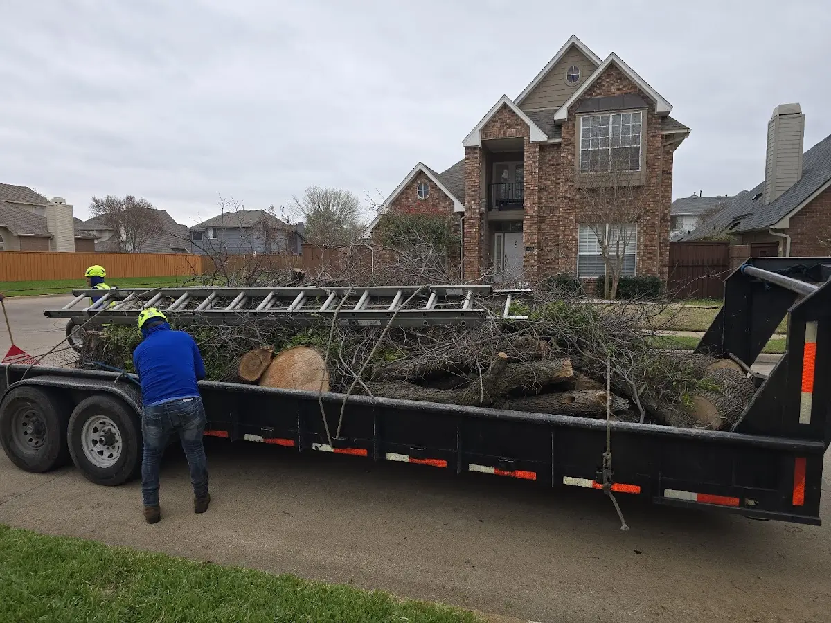 Expert Tree Fertilization with proper safety equipment in Bushkill